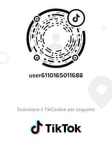 TikTok è una app per caricare video e insieme ad altri siti e piattaforme ti permette di fare video marketing.