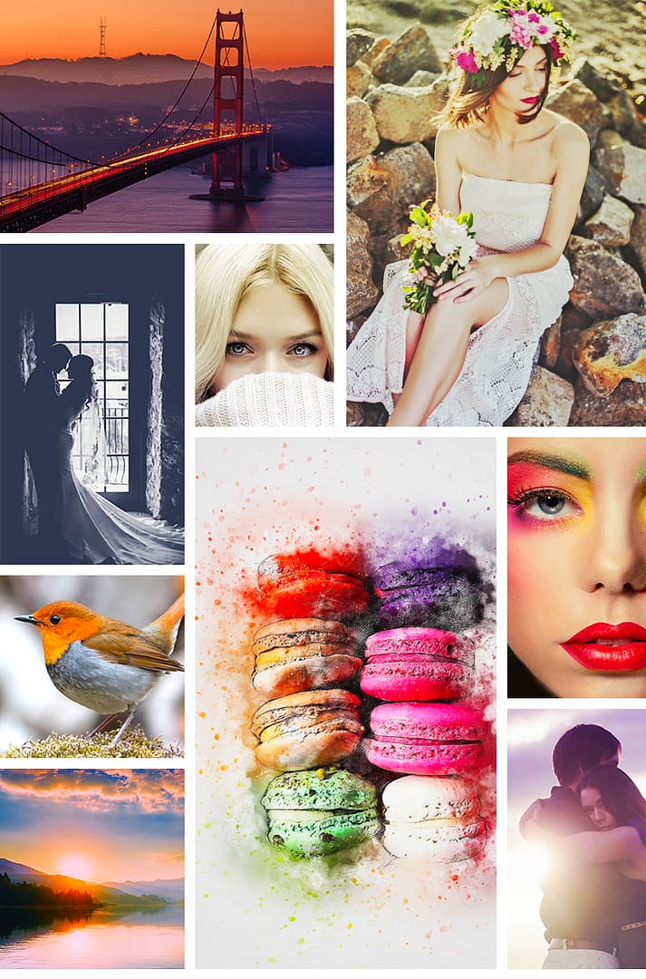 Siti dove scaricare foto e immagini gratis e libere da copyright
